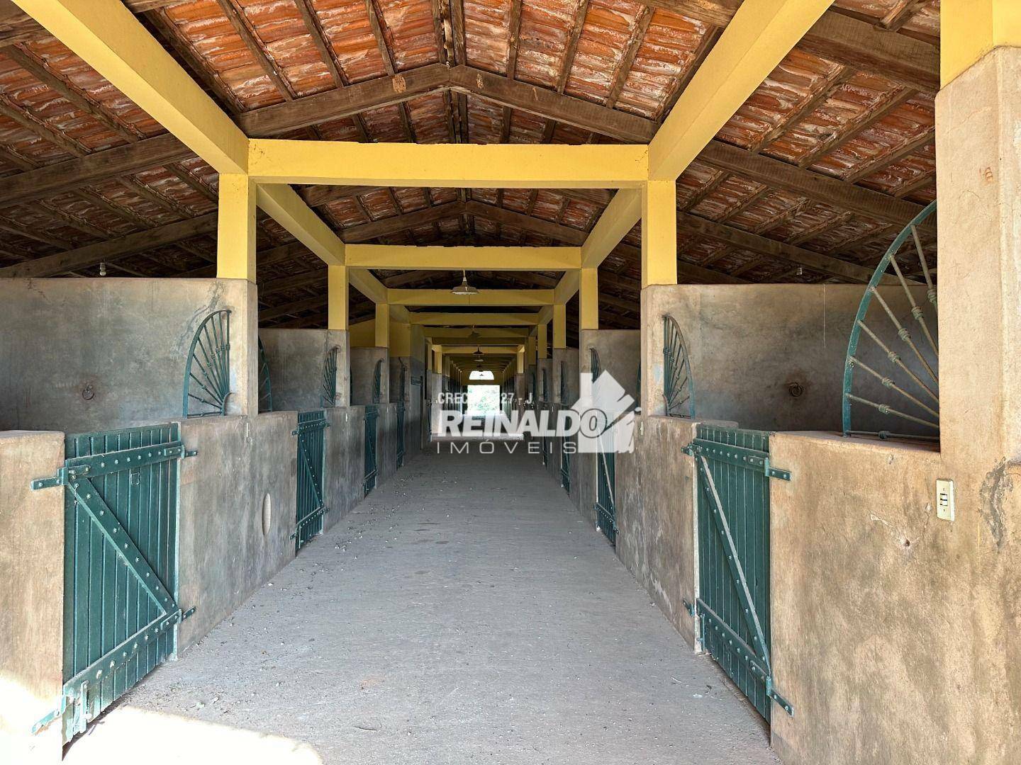 Haras e Área Rural Padrão à venda com 8 quartos, 5000m² - Foto 72