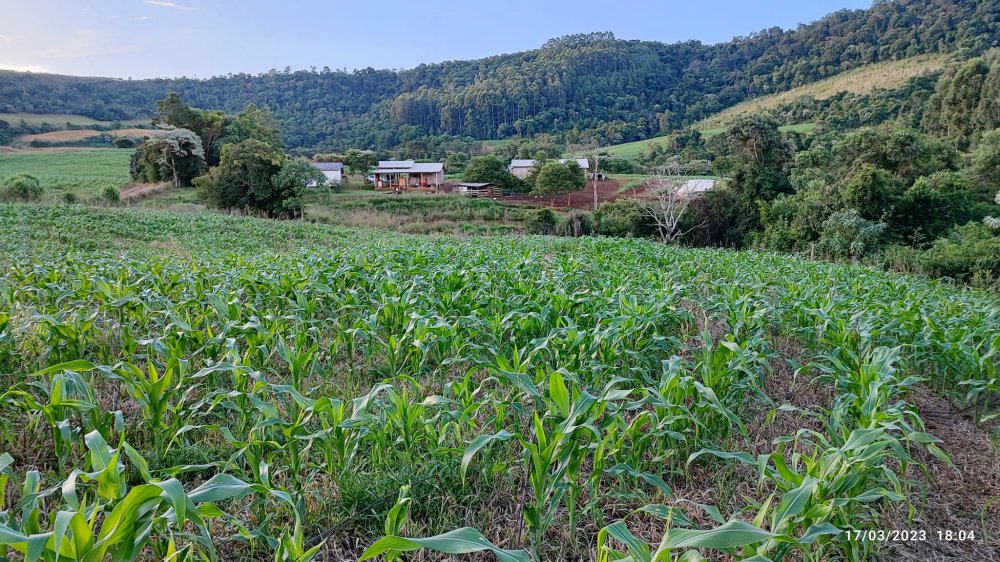 Fazenda à venda com 2 quartos, 8m² - Foto 9