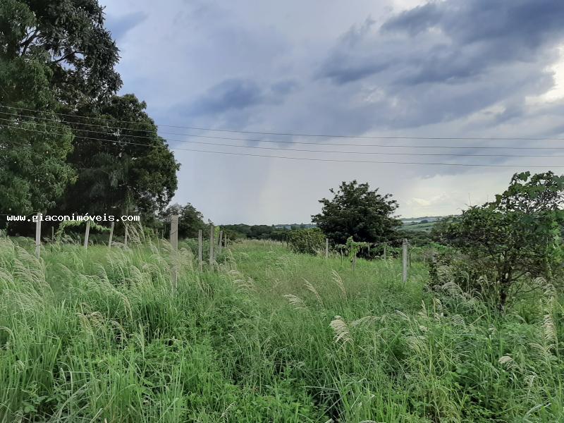 Fazenda à venda com 2 quartos, 22900m² - Foto 11