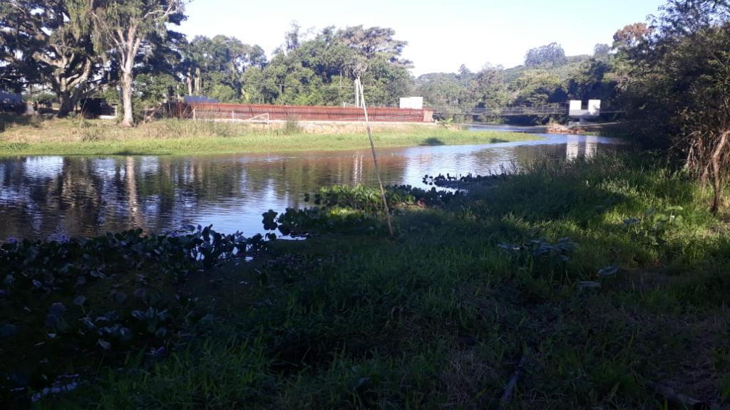 Fazenda à venda com 1 quarto, 70m² - Foto 4