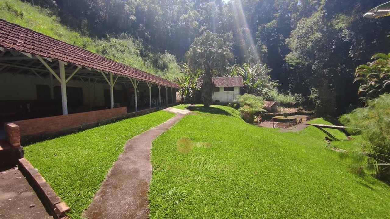 Fazenda à venda com 3 quartos, 600m² - Foto 6