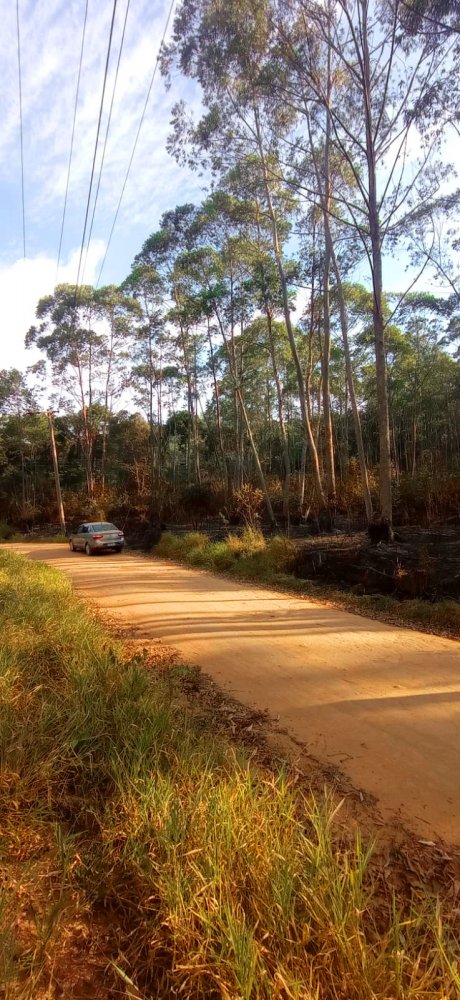 Fazenda à venda, 266200m² - Foto 18