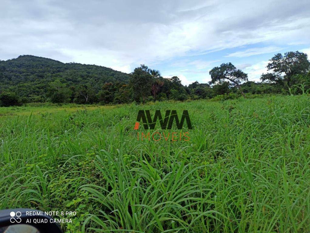 Fazenda à venda, 8760400M2 - Foto 26