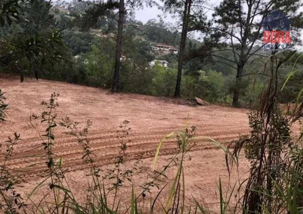 Loteamento e Condomínio à venda, 21405M2 - Foto 6