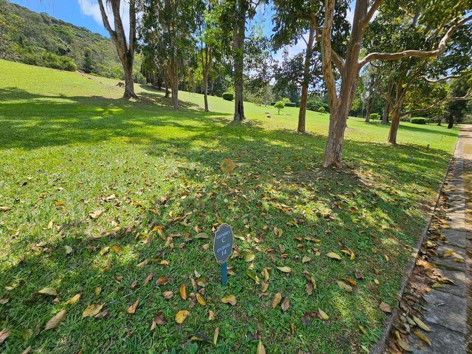 Prédio Inteiro - Foto 24