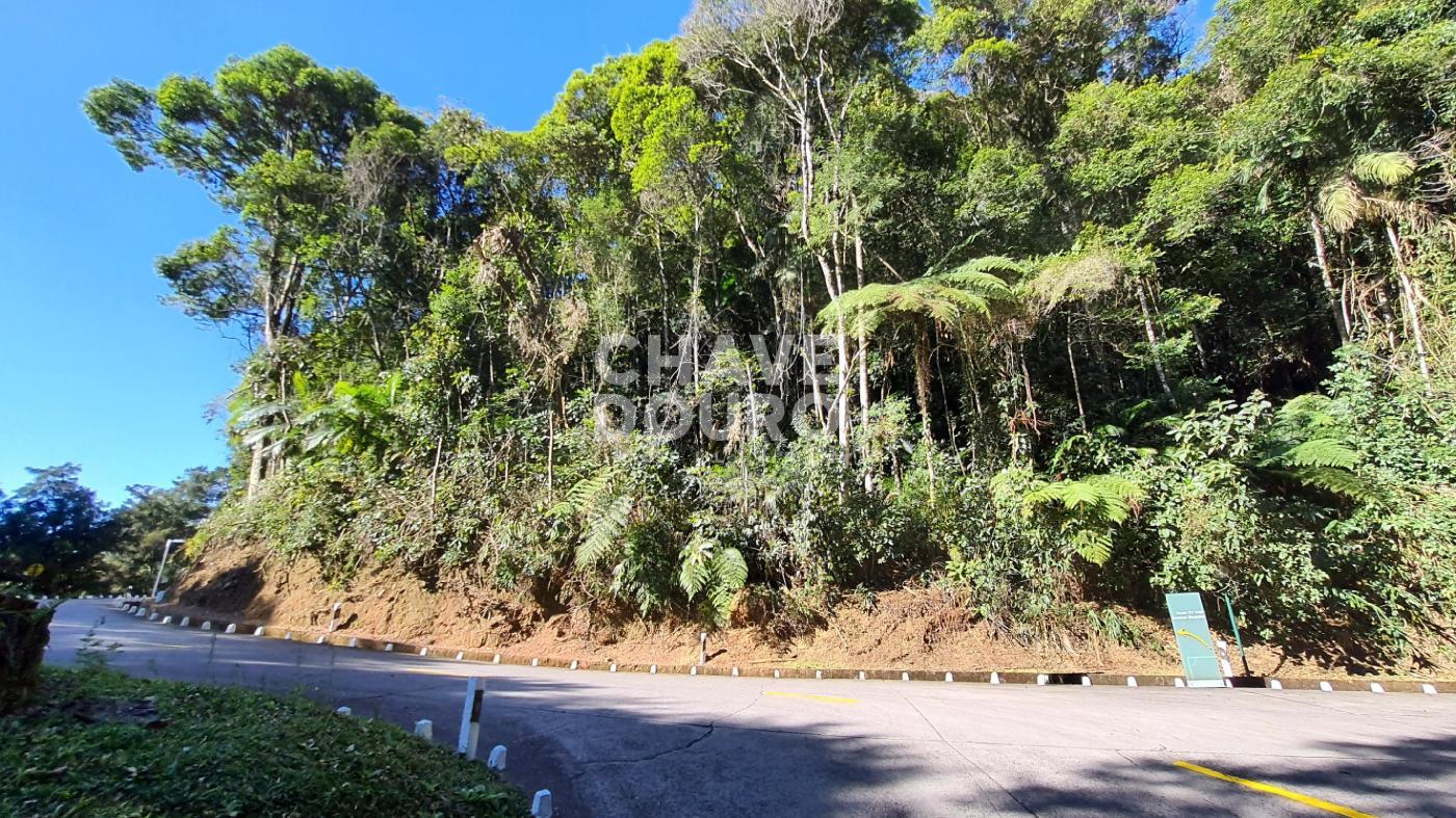 Terreno à venda, 72745m² - Foto 2