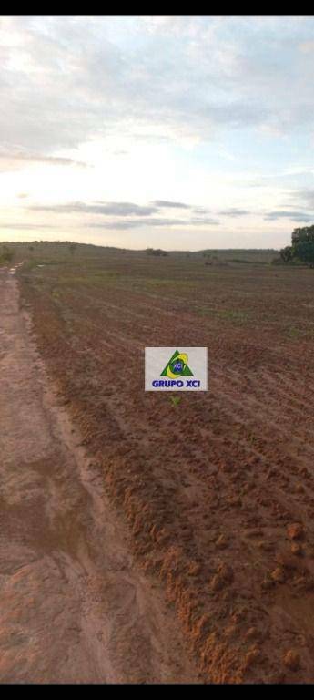 Fazenda à venda, 10000000M2 - Foto 8