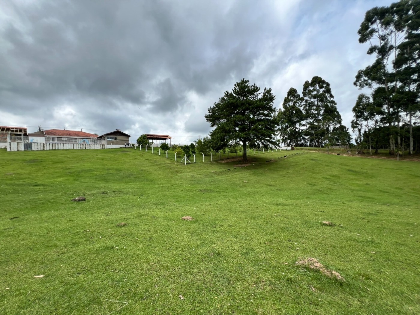 Fazenda à venda, 24200m² - Foto 14