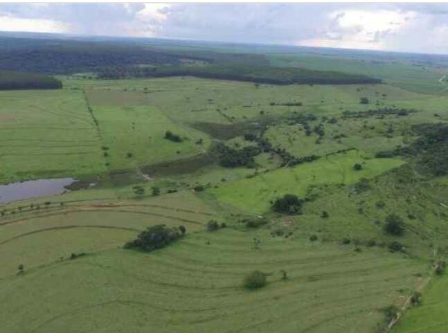 Fazenda-Sítio-Chácara, 726 m² - Foto 12