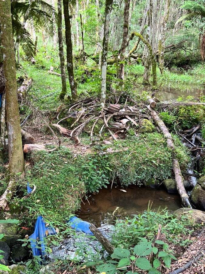 Chácara à venda, 18100m² - Foto 8