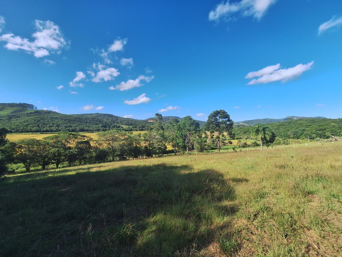 Loteamento e Condomínio à venda, 26000m² - Foto 5