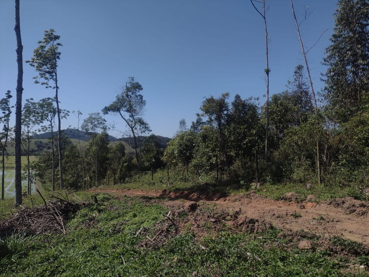 Chácara à venda, 140000m² - Foto 10
