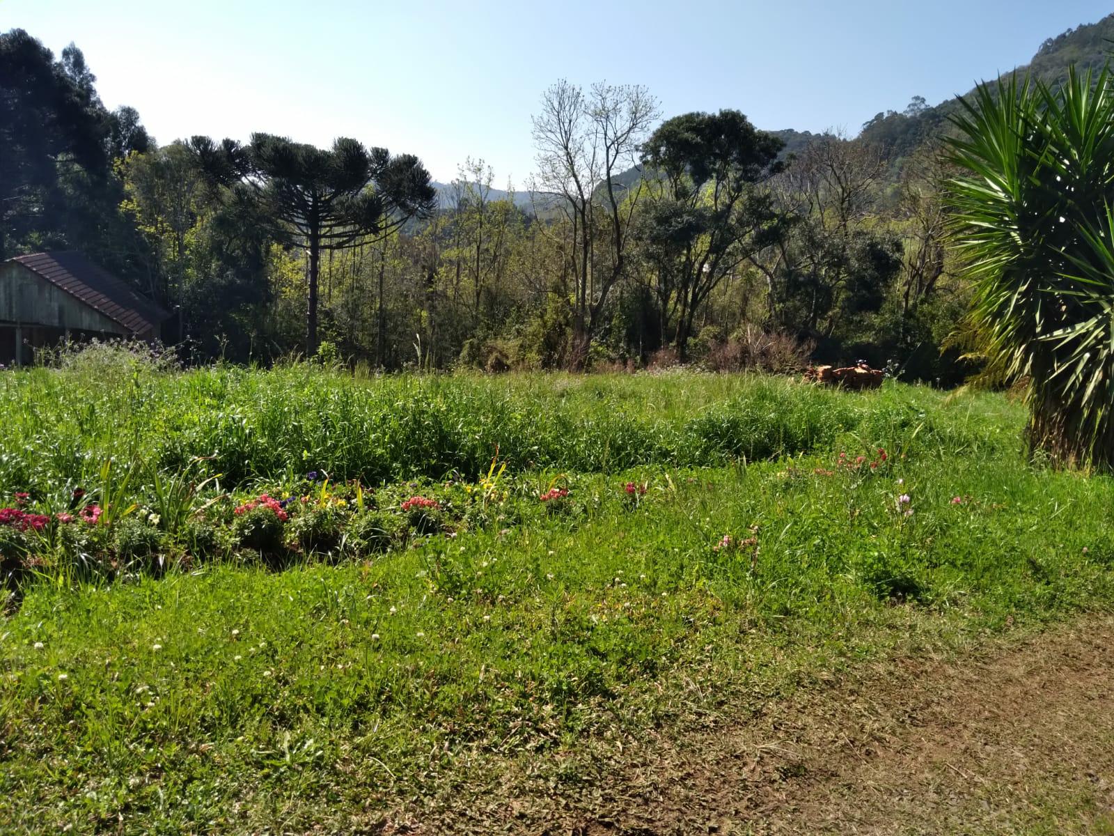Sítio à venda com 1 quarto, 90m² - Foto 33