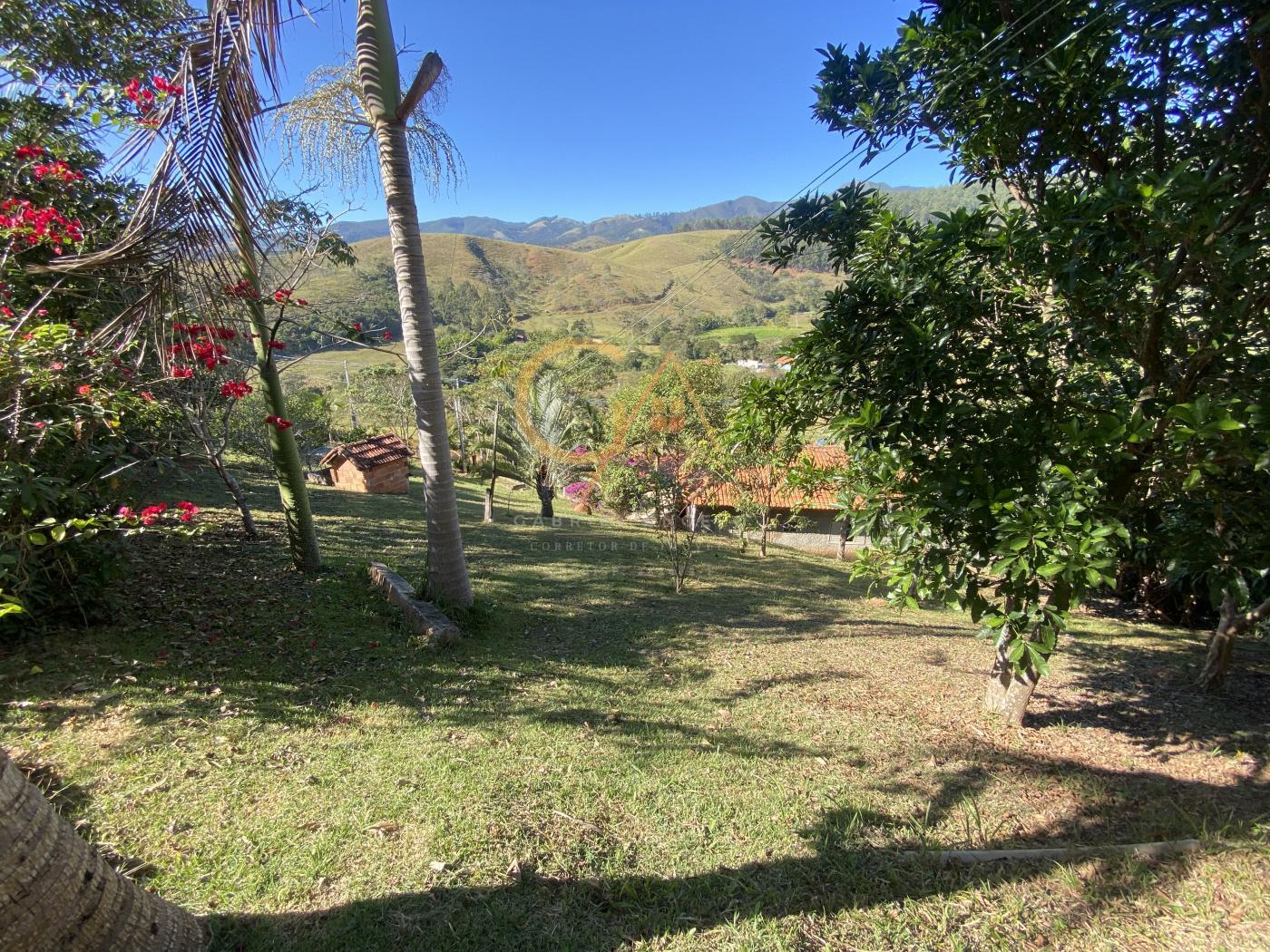 Fazenda à venda com 3 quartos, 1543m² - Foto 4