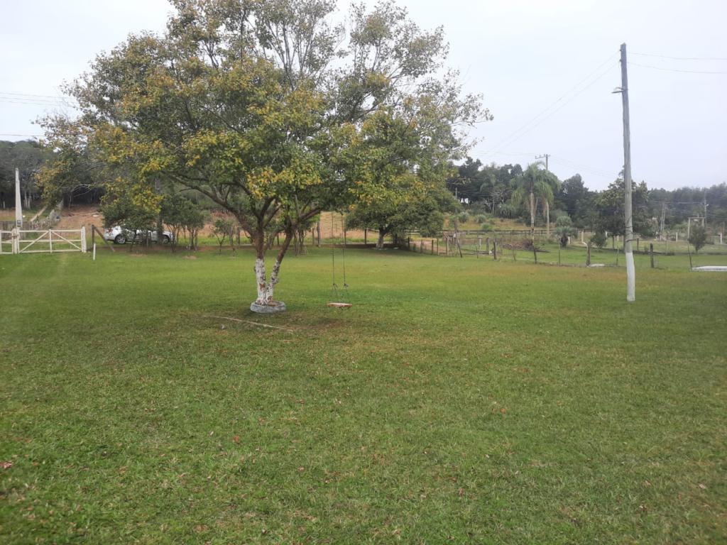 Fazenda à venda com 1 quarto, 25000m² - Foto 19