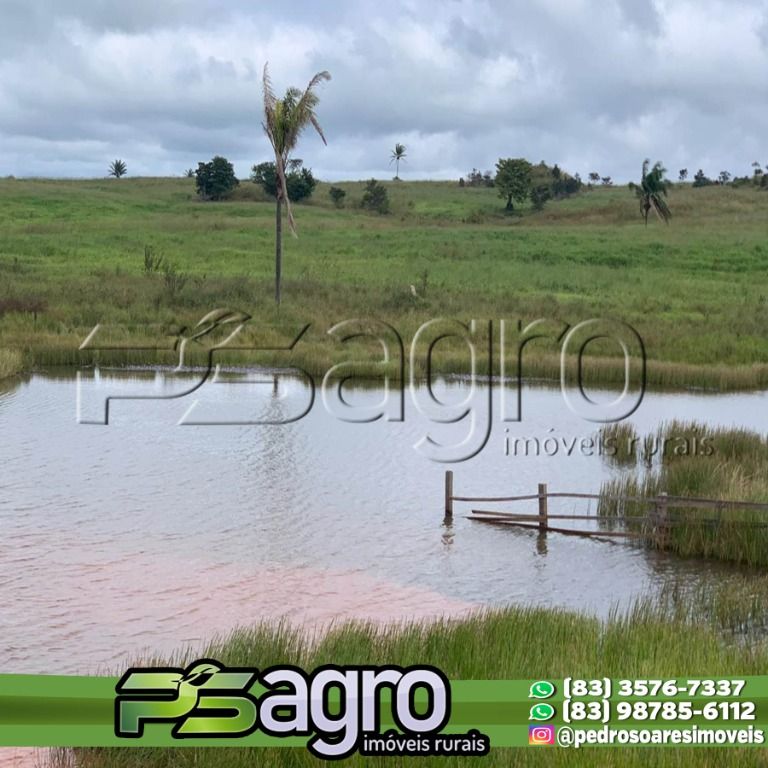 Fazenda-Sítio-Chácara, 42000 hectares - Foto 3