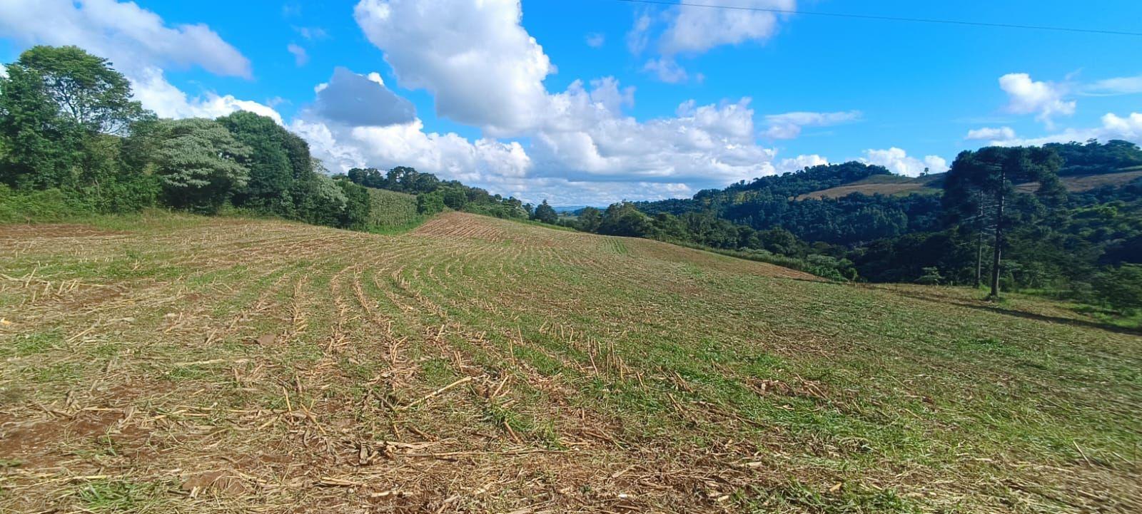 Casa à venda, 140000m² - Foto 12