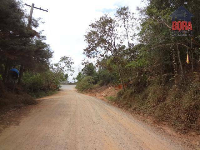 Terreno à venda, 3000M2 - Foto 3