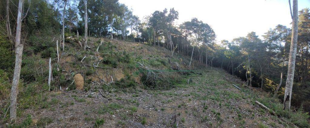 Loteamento e Condomínio à venda, 1750M2 - Foto 3