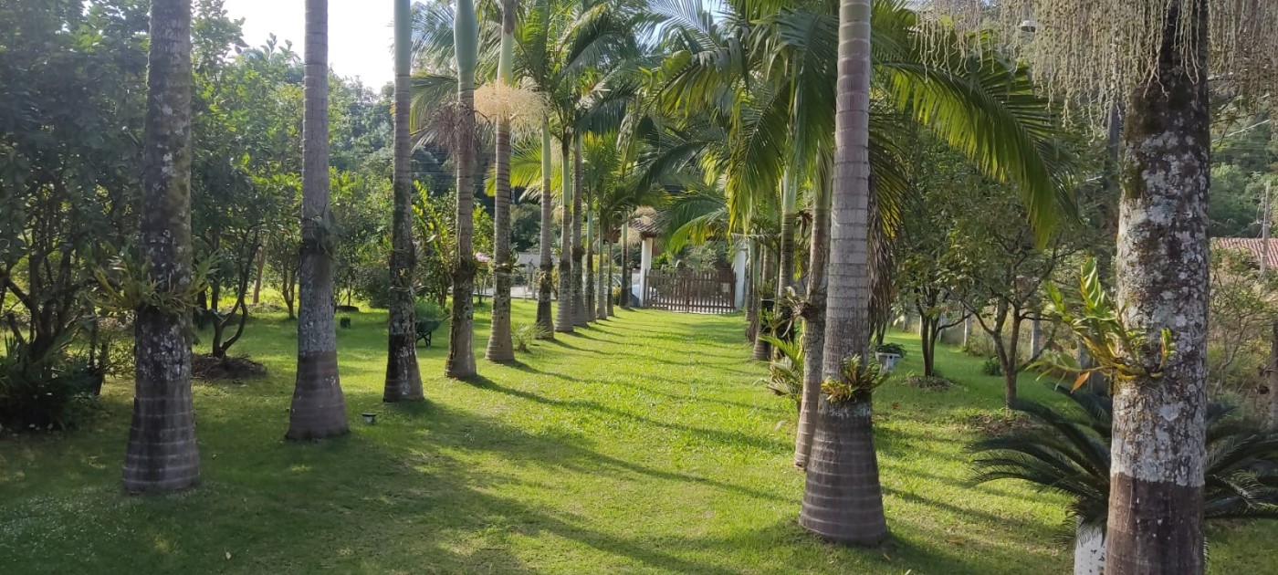 Chácara à venda com 2 quartos, 5000m² - Foto 3