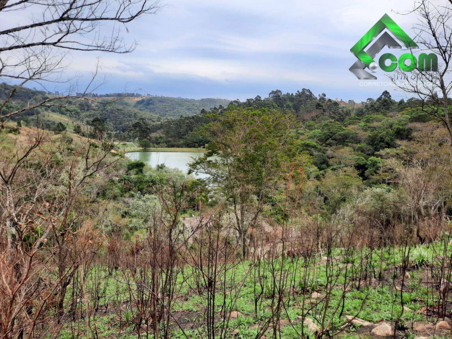 Terreno à venda, 20000M2 - Foto 3