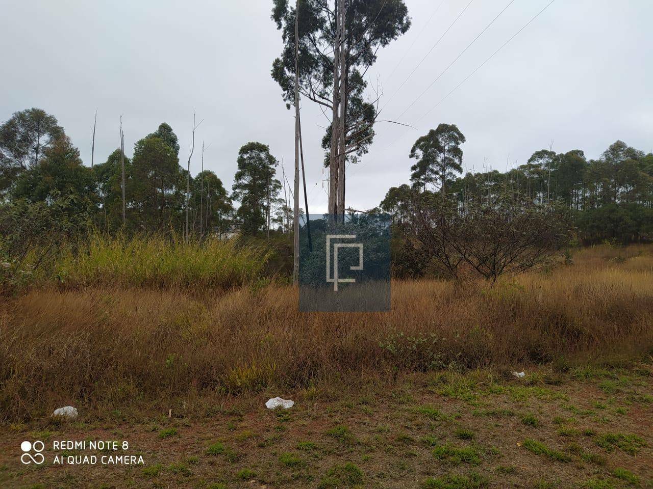 Loteamento e Condomínio à venda, 4000M2 - Foto 4