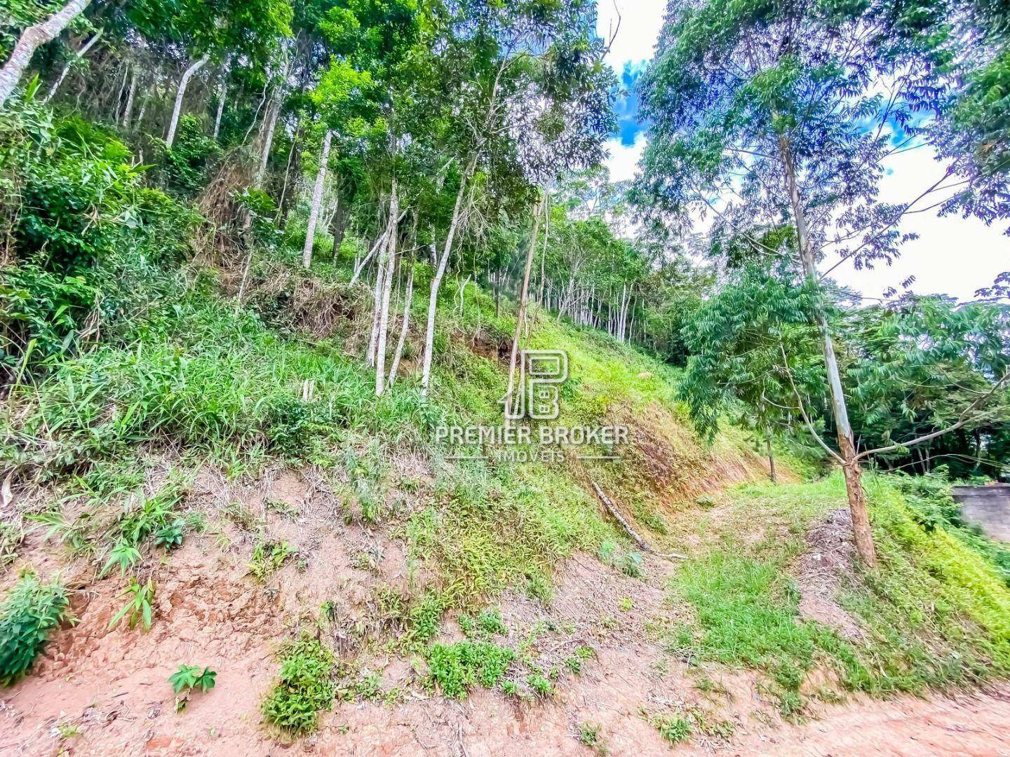 Terreno à venda, 3200M2 - Foto 3