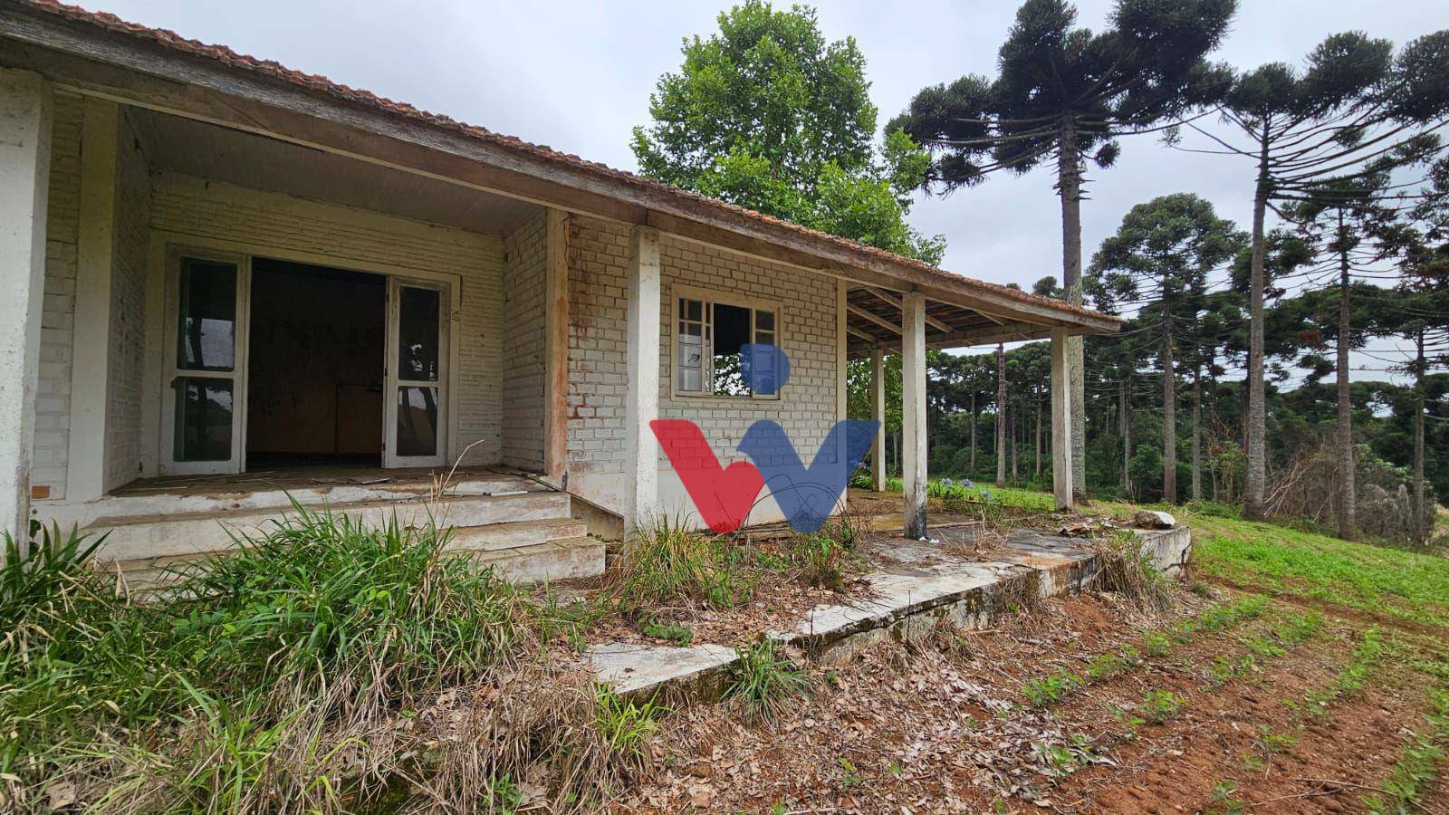 Fazenda à venda com 3 quartos, 1694000M2 - Foto 12