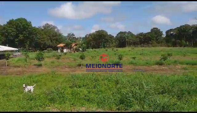 Fazenda à venda com 2 quartos, 300000M2 - Foto 9