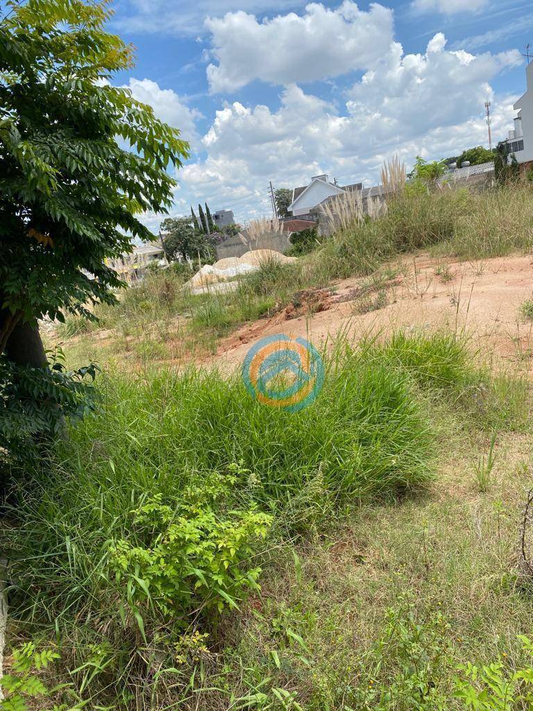 Loja-Salão, 250 m² - Foto 5