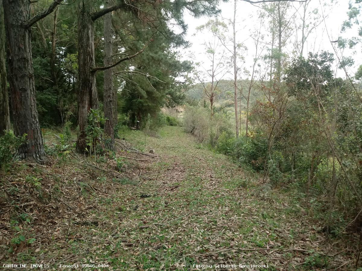 Sítio à venda com 4 quartos, 160000m² - Foto 2