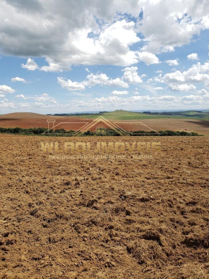 Fazenda à venda, 330m² - Foto 3