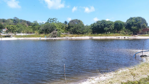 Terreno à venda, 30000M2 - Foto 1