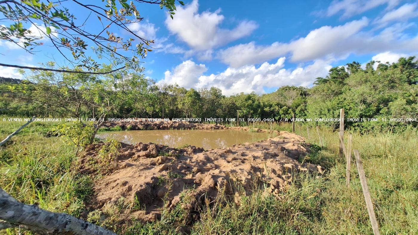 Sítio à venda com 2 quartos, 14500m² - Foto 5