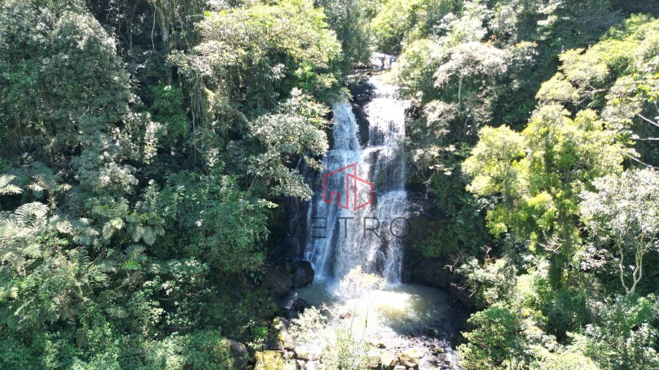 Sítio, 4 quartos, 37 hectares - Foto 3