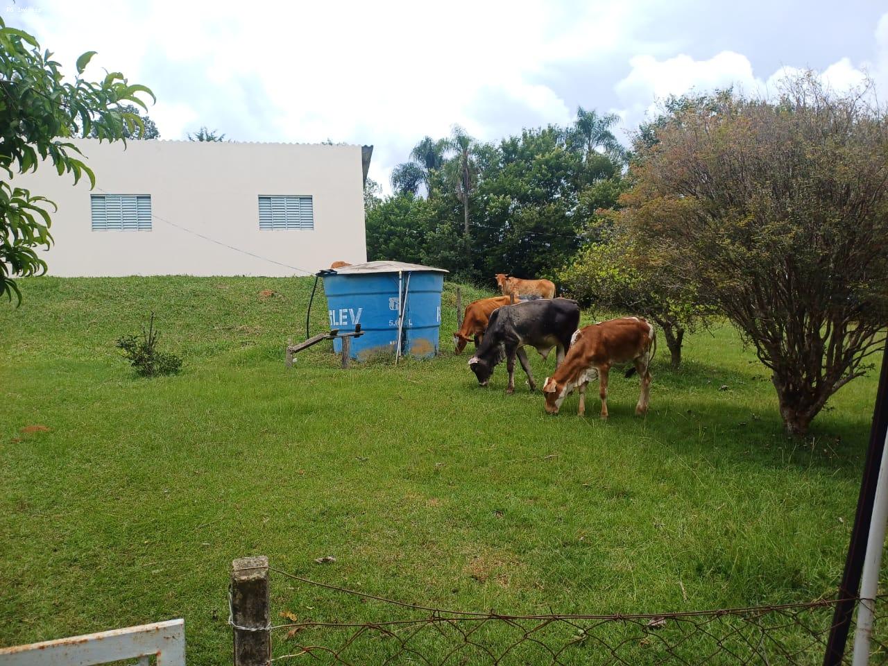 Chácara à venda, 18393m² - Foto 18