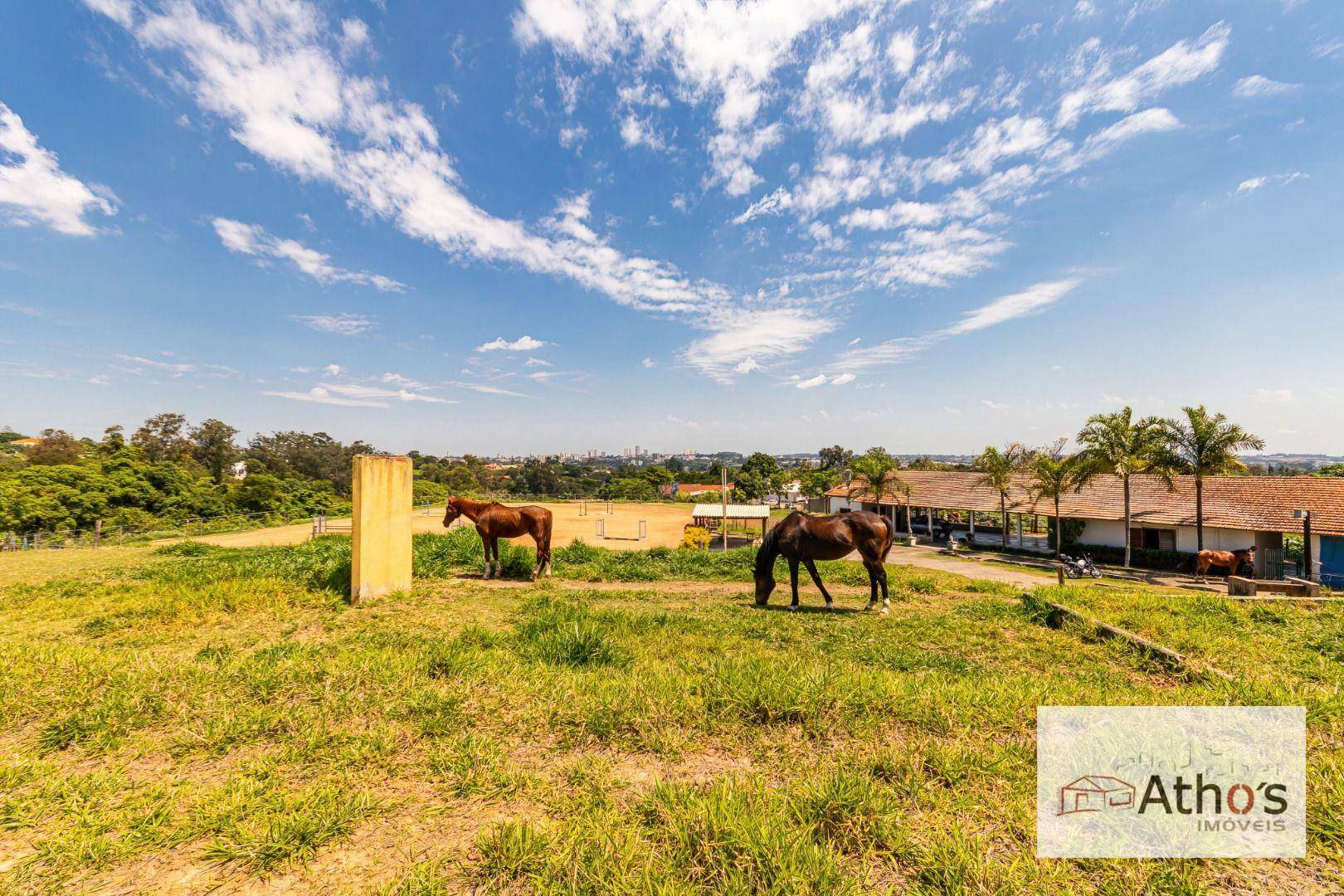 Haras e Área Rural Padrão à venda, 20140M2 - Foto 13