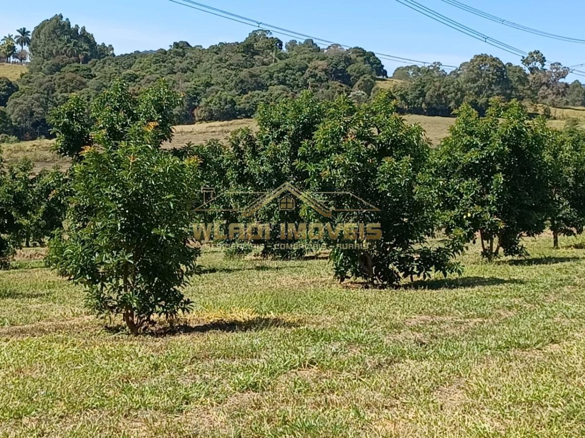 Fazenda à venda, 145200m² - Foto 7