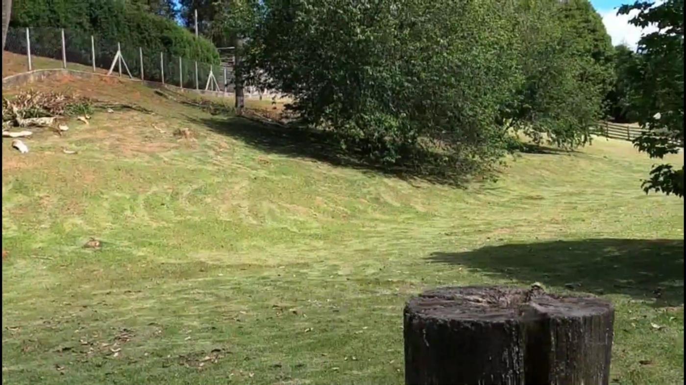Terreno à venda, 5000m² - Foto 6