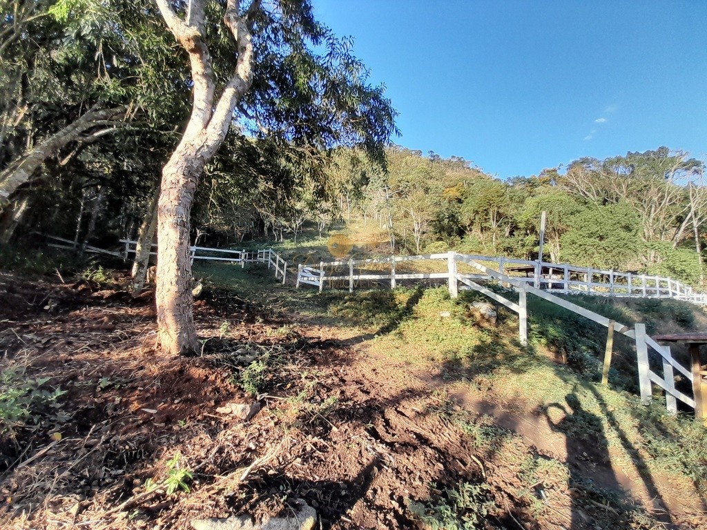Fazenda à venda, 140000m² - Foto 19
