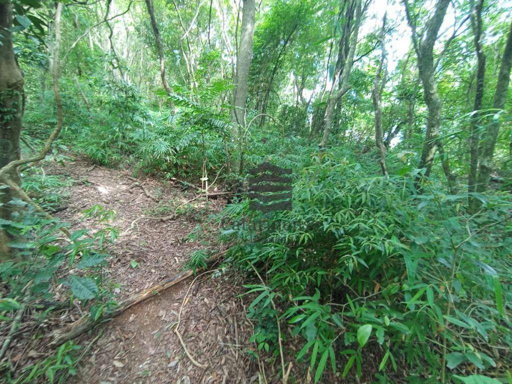 Terreno à venda, 10000M2 - Foto 3