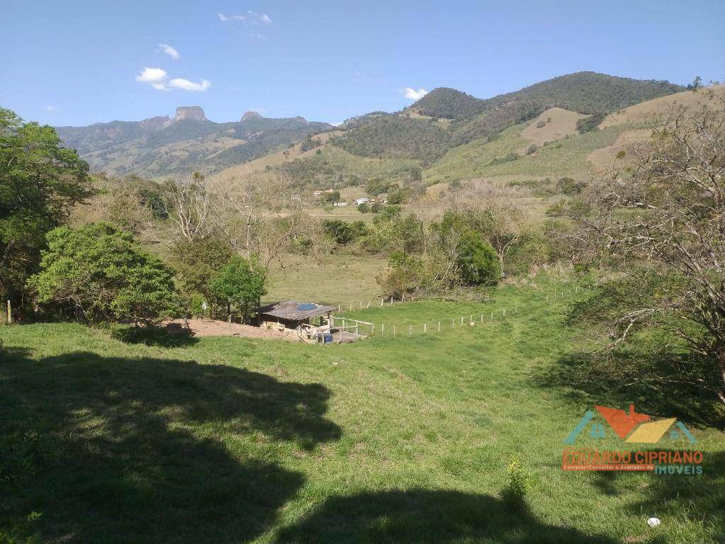 Terreno à venda, 9106M2 - Foto 2