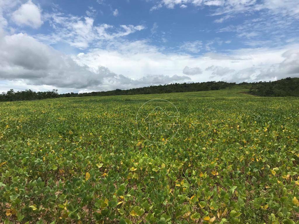 Fazenda à venda, 118290000M2 - Foto 55