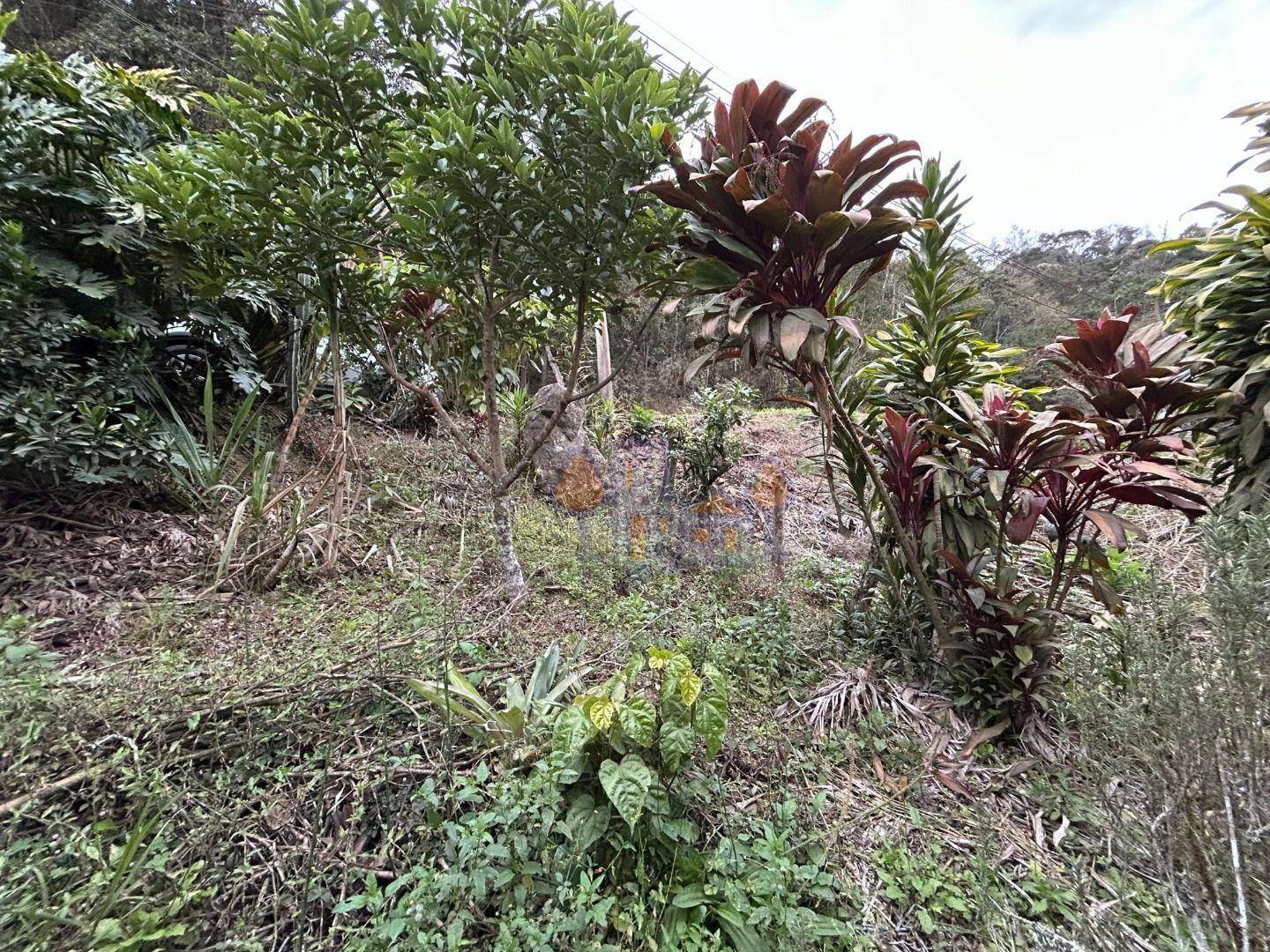 Chácara à venda com 1 quarto, 70m² - Foto 4