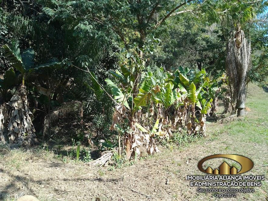 Terreno à venda, 1950m² - Foto 3