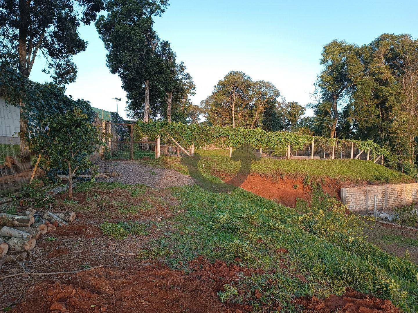 Terreno à venda, 1182M2 - Foto 6