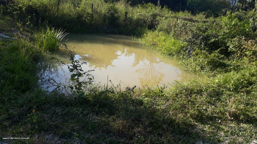 Terreno, 2100 m² - Foto 12