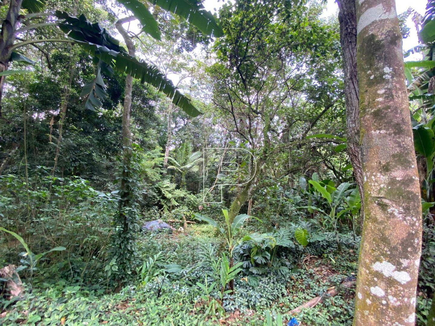 Loteamento e Condomínio à venda, 1000M2 - Foto 2