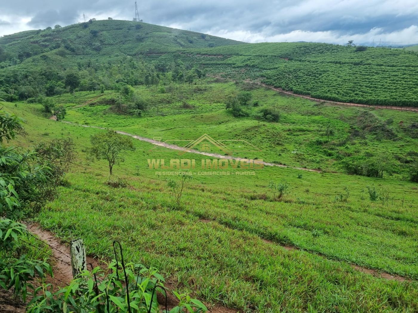 Fazenda à venda, 100m² - Foto 3