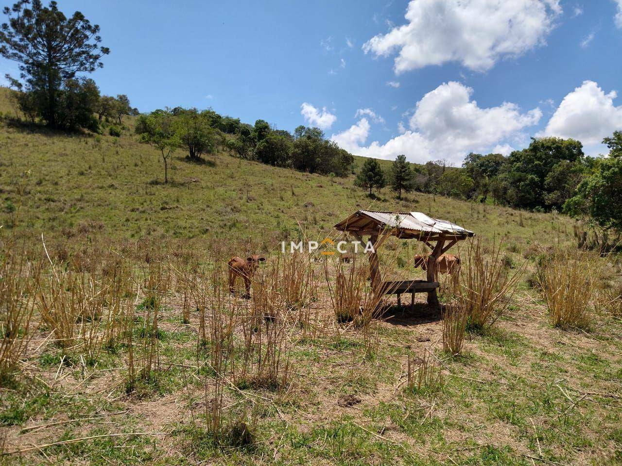 Sítio à venda com 3 quartos, 58000M2 - Foto 66